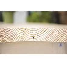 Detailaufnahme einer Holzplatte mit sichtbaren Jahresringen und Rissen