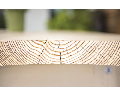 Holzbrett mit Jahresringen