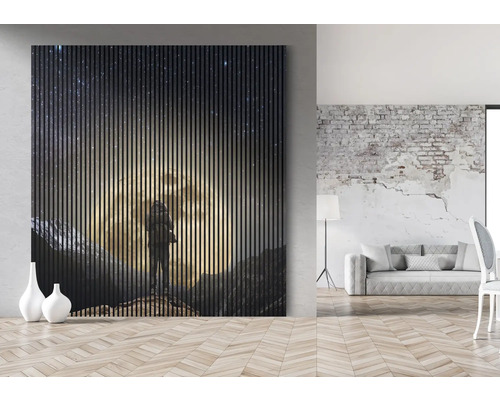 Wandpaneel mit Motiv einer Person unter einem Sternenhimmel in einem Wohnraum.