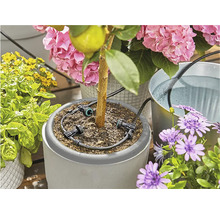 Blumenbewässerungssystem mit Topfpflanzen und Wasserbehälter