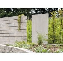 Gartenszene mit Mauer, Sichtschutzwand und Bepflanzung