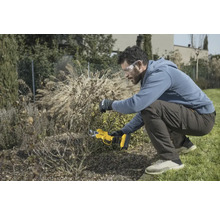 Ein Mann mit Schutzbrille und Handschuhen schneidet eine Pflanze mit einer Akku-Gartenschere.