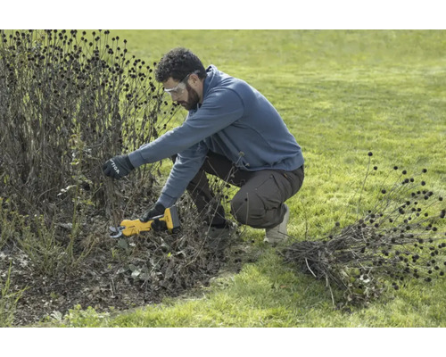 Ein Mann schneidet mit einer Akku-Gartenschere Büsche im Garten.