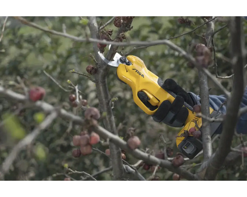 Akkubetriebene Gartenschere beim Beschneiden von Ästen, Marke Stiga