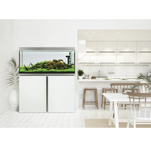 Aquarium mit Unterschrank in einem hellen Wohnraum