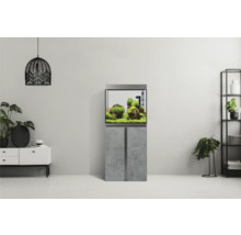 Aquarium mit Unterschrank in einem hellen Wohnraum