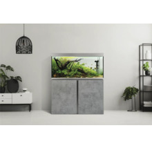 Eingerichtetes Aquarium auf Unterschrank im Wohnraum.
