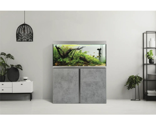 Eingerichtetes Aquarium auf Unterschrank im Wohnraum.