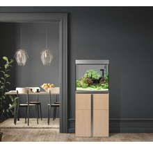 Eingerichtetes Aquarium mit Unterschrank in einem Wohnraum