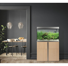Aquarium mit Unterschrank in einem Wohnraum.