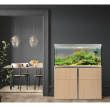 Eingerichtetes Aquarium mit Unterschrank in einem Wohnraum