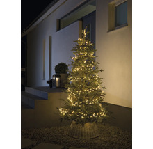 Dekorativer Weihnachtsbaum mit Lichterkette im Aussenbereich.
