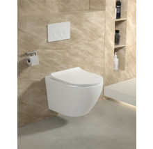 Modernes Badezimmer mit wandhängendem WC, Betätigungsplatte und Toilettenpapierhalter.