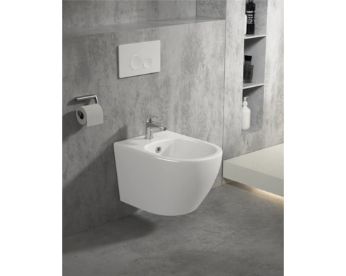 Wandbidet mit Armatur, Spülkasten und Toilettenpapierhalter in einem Badezimmer.