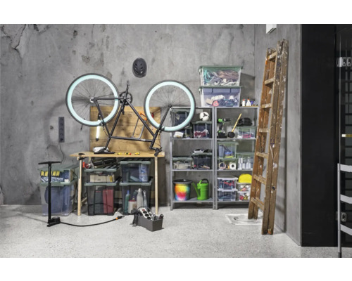 Werkstattraum mit Fahrrad, Werkbank, Regal und Aufbewahrungsboxen