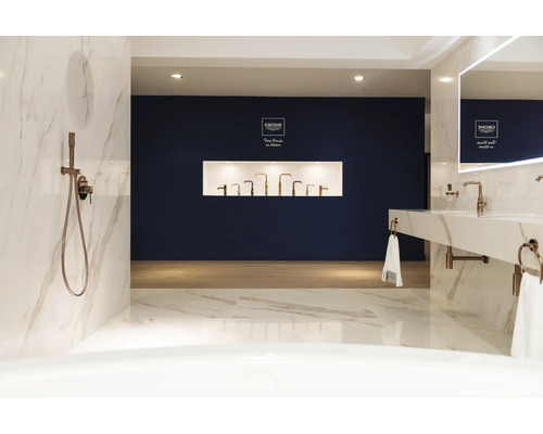 Modernes Badezimmer mit Dusche, Waschbecken und Armaturen in verschiedenen Ausführungen. Grohe Logo