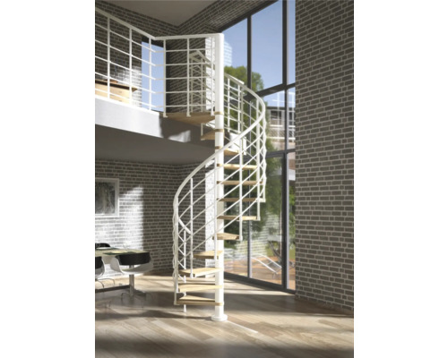 Pertura Spindeltreppe Koralia Eiche Ø 160 cm weiß pulverbeschichtet 12 Stufen/13 Steigungen Pertura Spindeltreppe Koralia Eiche Ø 160 cm weiß pulverbeschichtet 12 Stufen/13 Steigungen