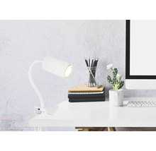 Schreibtisch mit Klemmleuchte, Büchern, Stiften, Kaktus und Computer