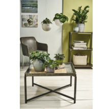 Wohnzimmer mit Pflanzen in Töpfen auf einem Couchtisch und in Hängekörben