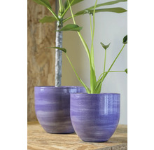Zwei lila Übertöpfe mit Pflanzen