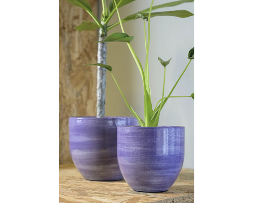 Zwei lila Übertöpfe mit Pflanzen