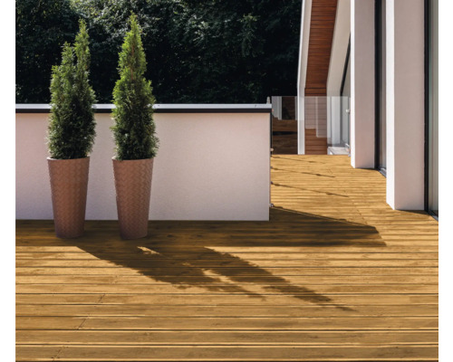 Außenbereich mit Holzterrasse und zwei Pflanzen in Pflanzgefäßen