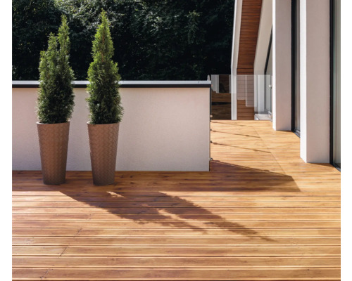 Außenbereich mit Holzterrasse und zwei Zypressen in Pflanzkübeln