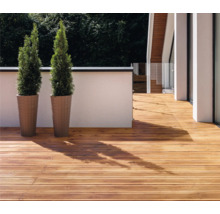 Terrasse mit Holzdielen und zwei Pflanzen in Pflanzgefäßen
