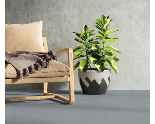 Innenraum mit Sessel, Decke und Zimmerpflanze im Topf