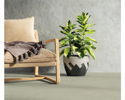 Dekorative Raumszene mit Sessel, Decke und Zimmerpflanze im Topf.