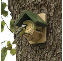 Vogel an einem Futterhaus an einem Baumstamm