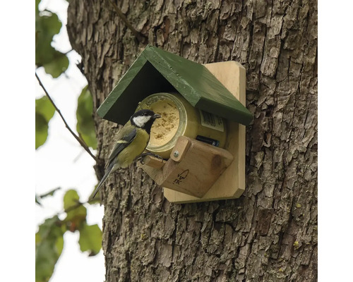 Vogel an einem Futterhaus an einem Baumstamm