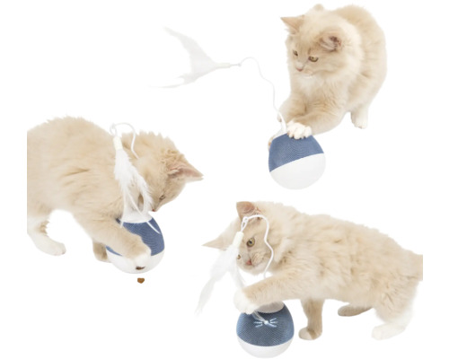Katze spielt mit interaktivem Futterball mit Federangel