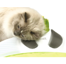 Katze benutzt Katzenspielzeug von Catit