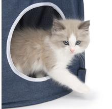 Katzenhaus mit Ragdoll-Kätzchen