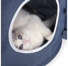 Katze in einer Katzenhöhle