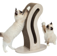 Katzen spielen an einem Kratzbaum mit Holzrahmen und Kratzfläche aus Karton