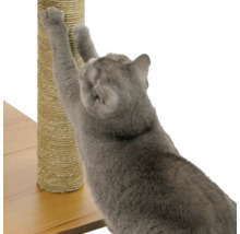 Katze kratzt an einem Kratzbaum aus Sisal
