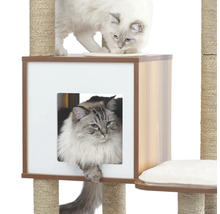 Katzenkratzbaum mit Katzen