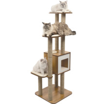 Katzenkratzbaum mit drei Katzen