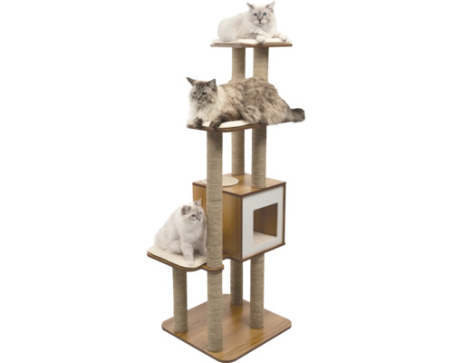 Katzenkratzbaum mit drei Katzen