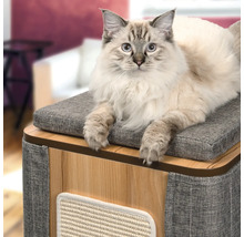 Katze liegt auf einem Katzenmöbel mit Kratzfläche