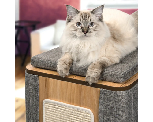 Katze liegt auf einem Katzenmöbel mit Kratzfläche