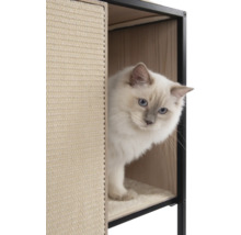 Katze in einem Katzenhaus mit Kratzfläche