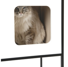 Katze in einem Katzenhaus mit Metallrahmen