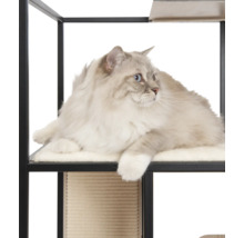 Katze liegt auf einem Kratzbaum mit Liegeflächen und Sisal