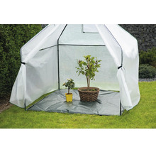 Kleingewächshaus mit Pflanzen im Garten