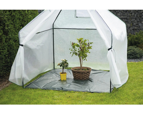Kleingewächshaus mit Pflanzen im Garten