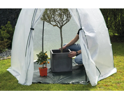 Pflanzzelt mit Person, Baum im Topf und Pflanze im Topf im Garten