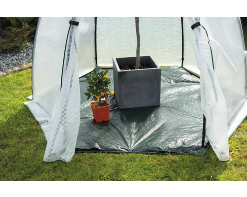 Gewächshaus mit Pflanzen im Topf und großem Pflanzkübel im Garten